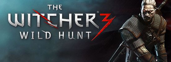 The Witcher 3 Wild Hunt Banner